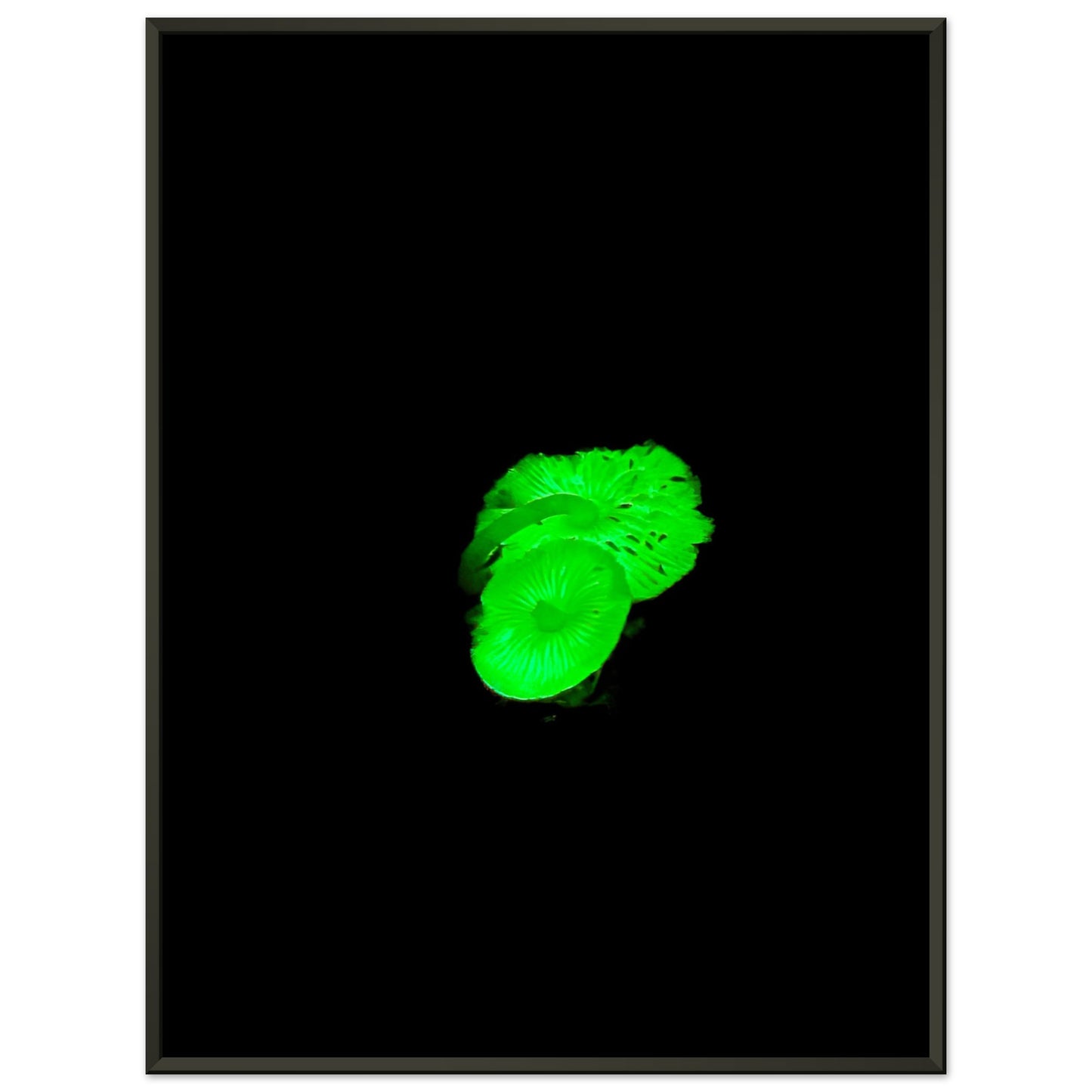 b3bac9f3-a9a1-4663-a2cb-40ccdd6899aa