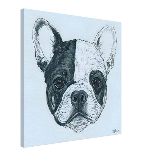 5ce5d04b-c3f7-497a-b35c-cfab7025cc11