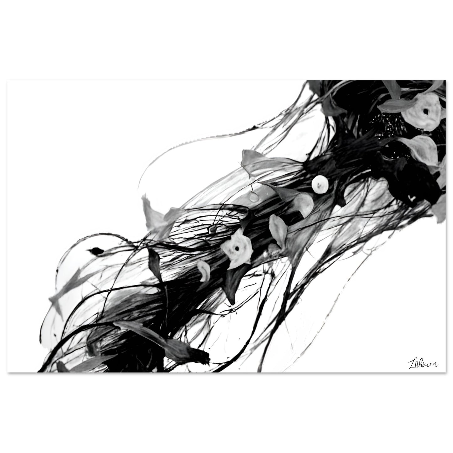 69820df2-ecef-47d8-bb7f-5646d53baabe