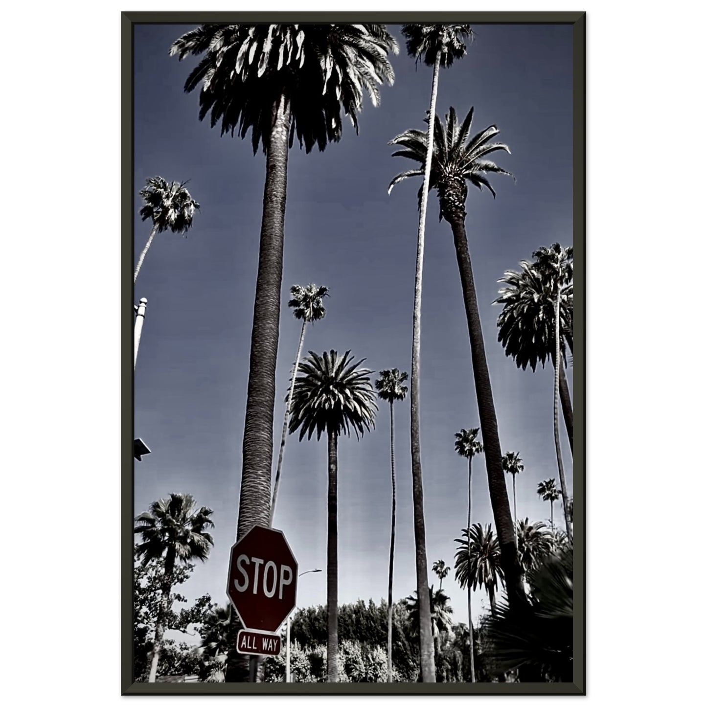 92025d94-3212-4ab8-abb3-bfc39aa9f1a5