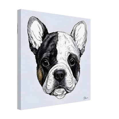 b5b5c802-2f92-4446-b31c-8749c7494e10