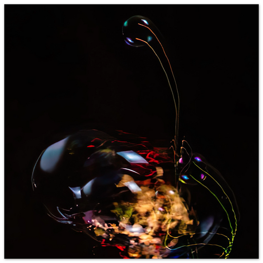 e4eccd56-bc3b-46d8-b395-e558678f63b1